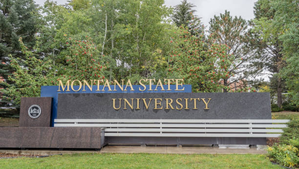 Montana State University International Merit-Based Scholarships 2024-2025, USA