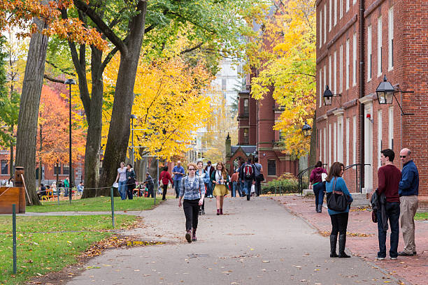 University of New Haven Assistantships & Scholarships 2024, USA