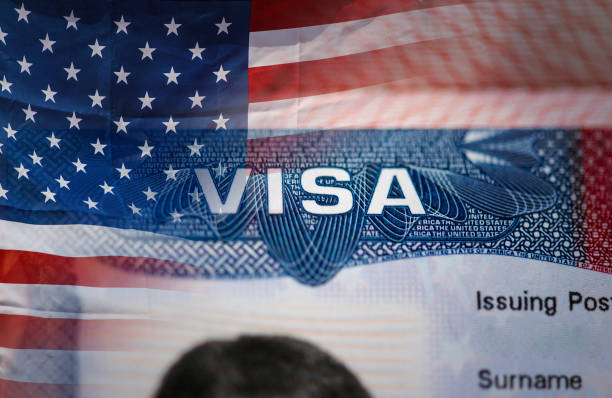 $50,000 U.S Visa Sponsorship Opportunities in 2024/2025